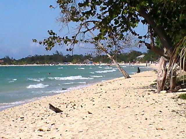 Publiek strand negril